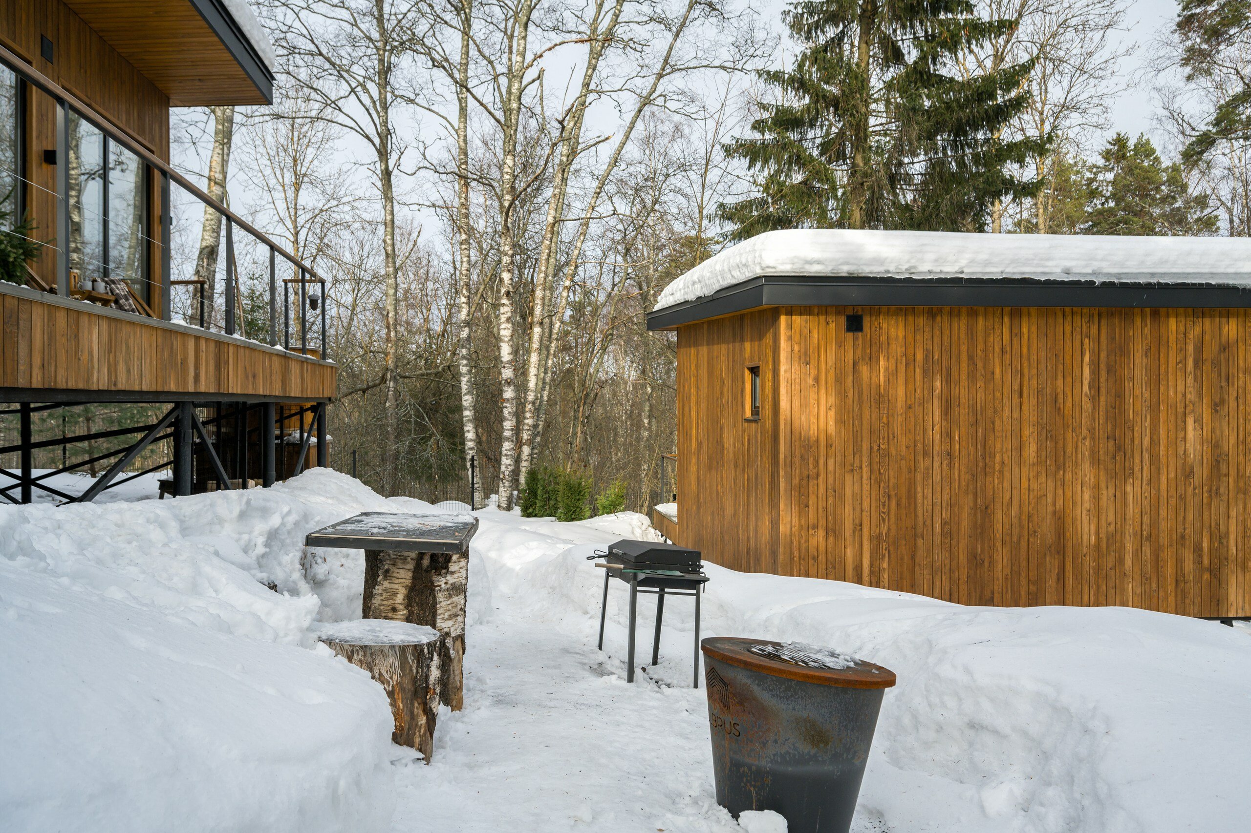 Фото Лесной восход