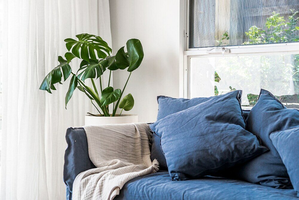 Фото Your Luxury Escape - Driftwood Three