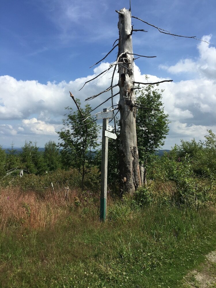 Фото Fewo Corell