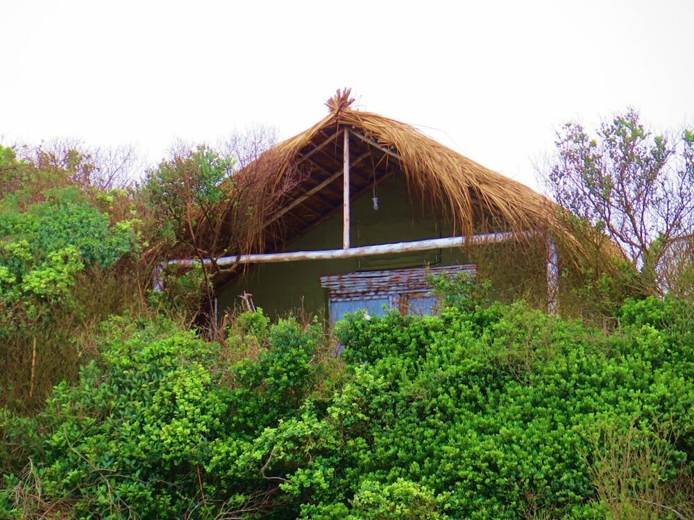 Фото The Blue Whale