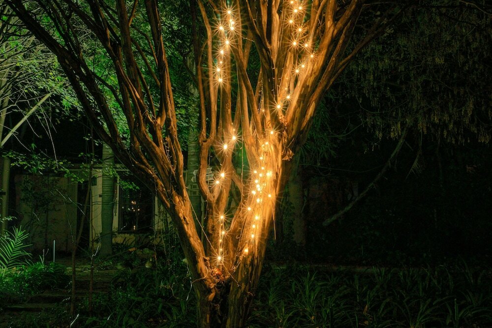 Фото Foxwood House