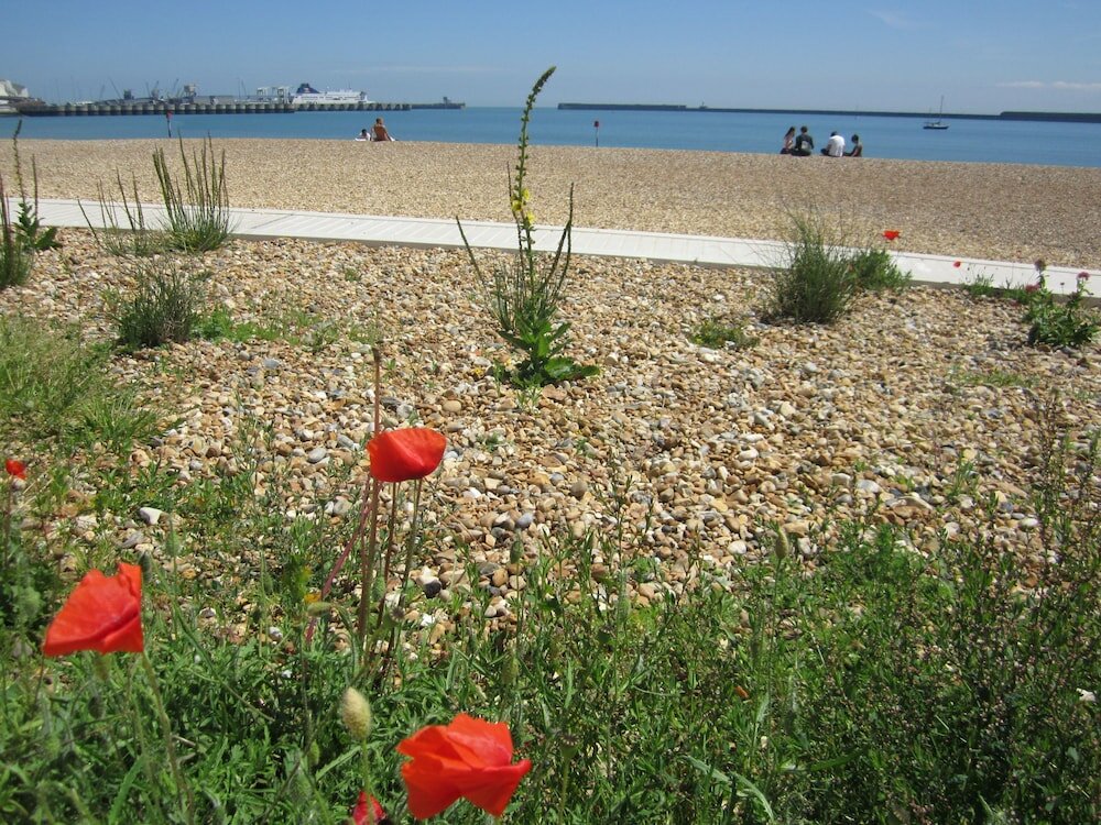 Фото Best Western Premier Dover Marina Hotel and Spa