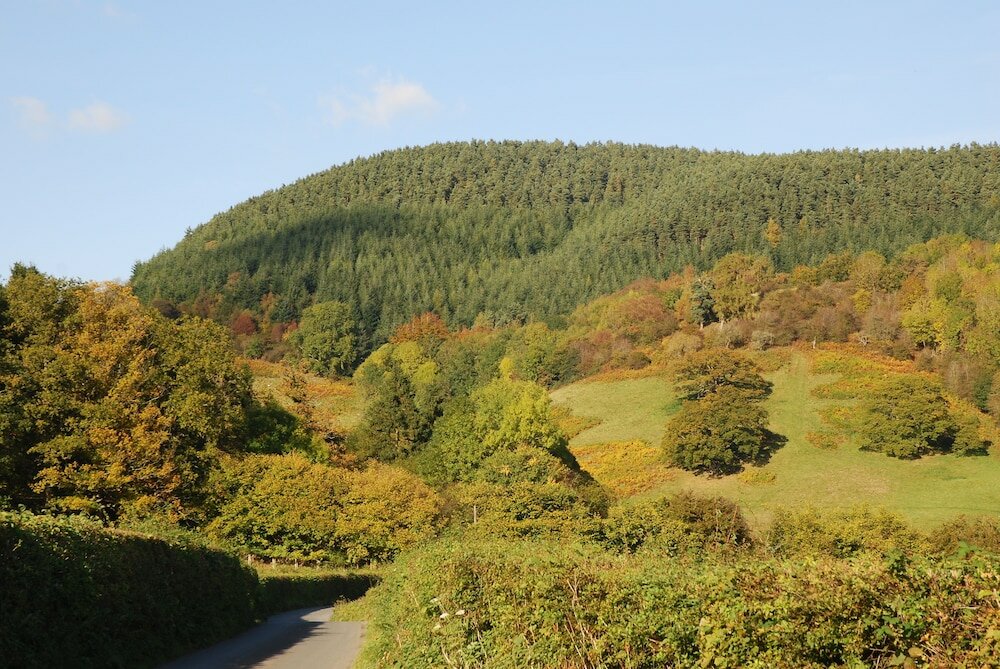 Фото The Baron at Bucknell