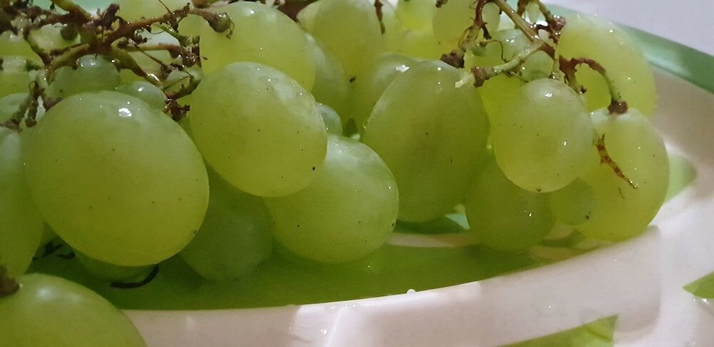 Фото Hotel Mirni Kutak