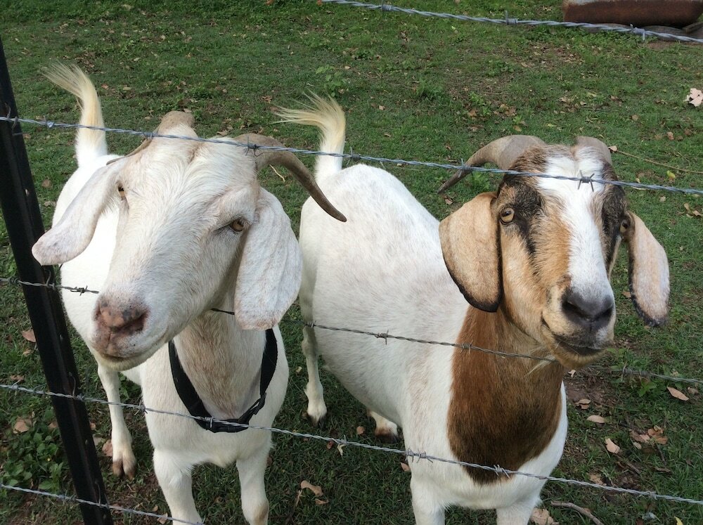 Фото Lagoon Pocket B&b