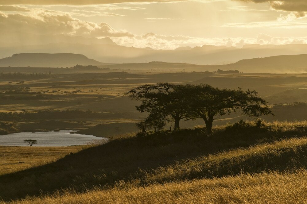 Фото Three Tree Hill