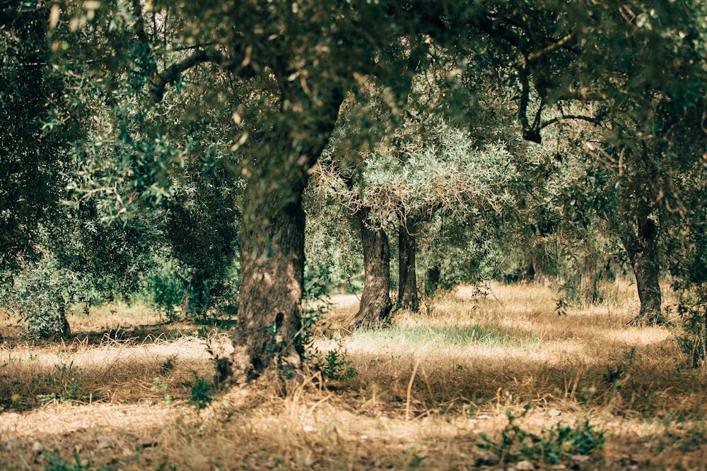 Фото Su Leunaxiu