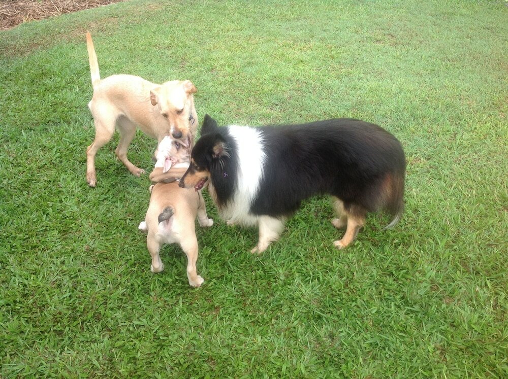 Фото Lagoon Pocket B&b