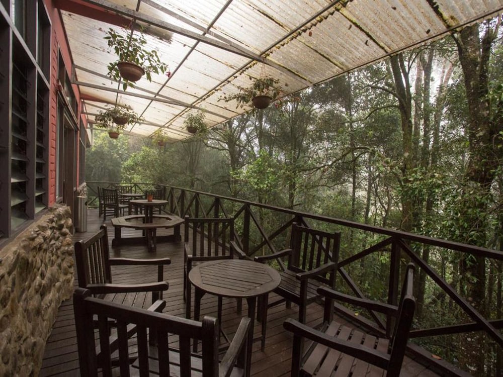 Фото Sutera Sanctuary Lodges at Kinabalu Park