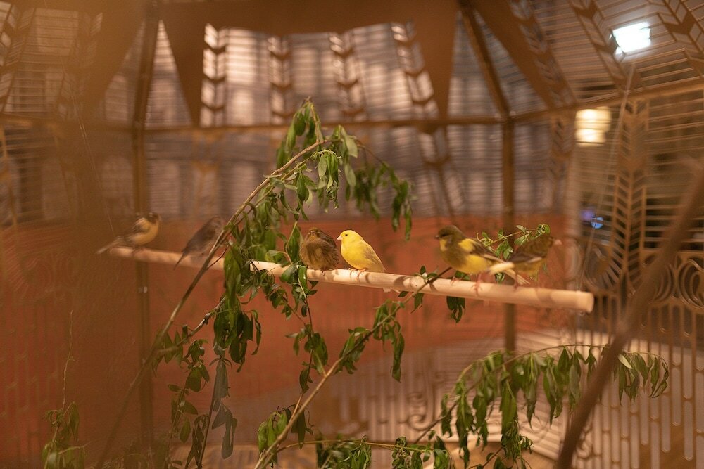 Фото Buitenplaats Vaeshartelt