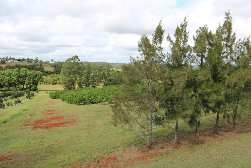 Фото Avocado Motor Inn