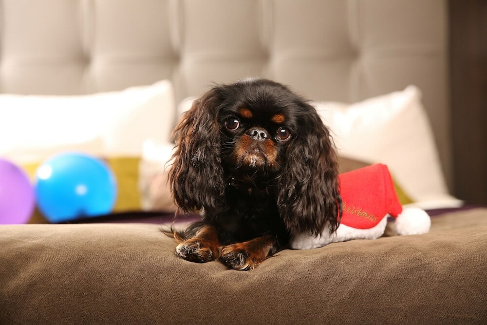 Фото Clarion Hotel Post