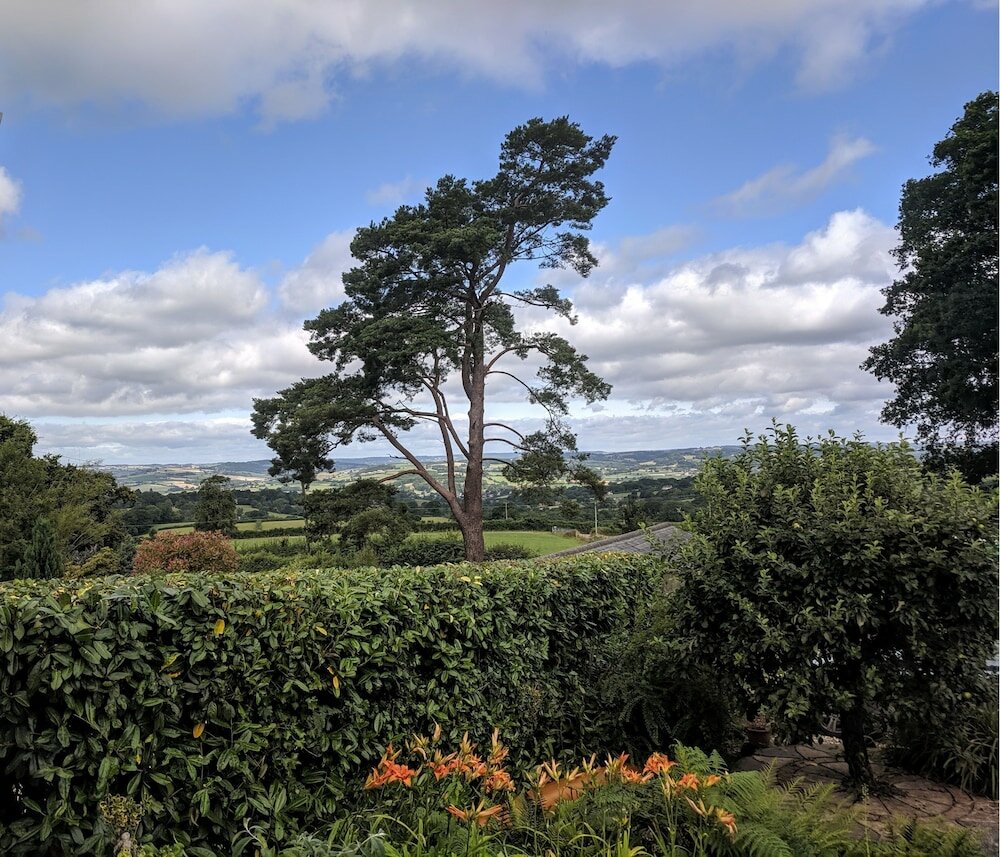 Фото Netherleigh Bed & Breakfast