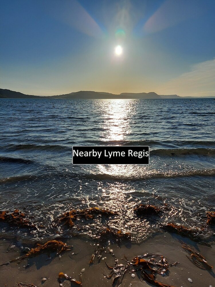 Фото Netherleigh Bed & Breakfast