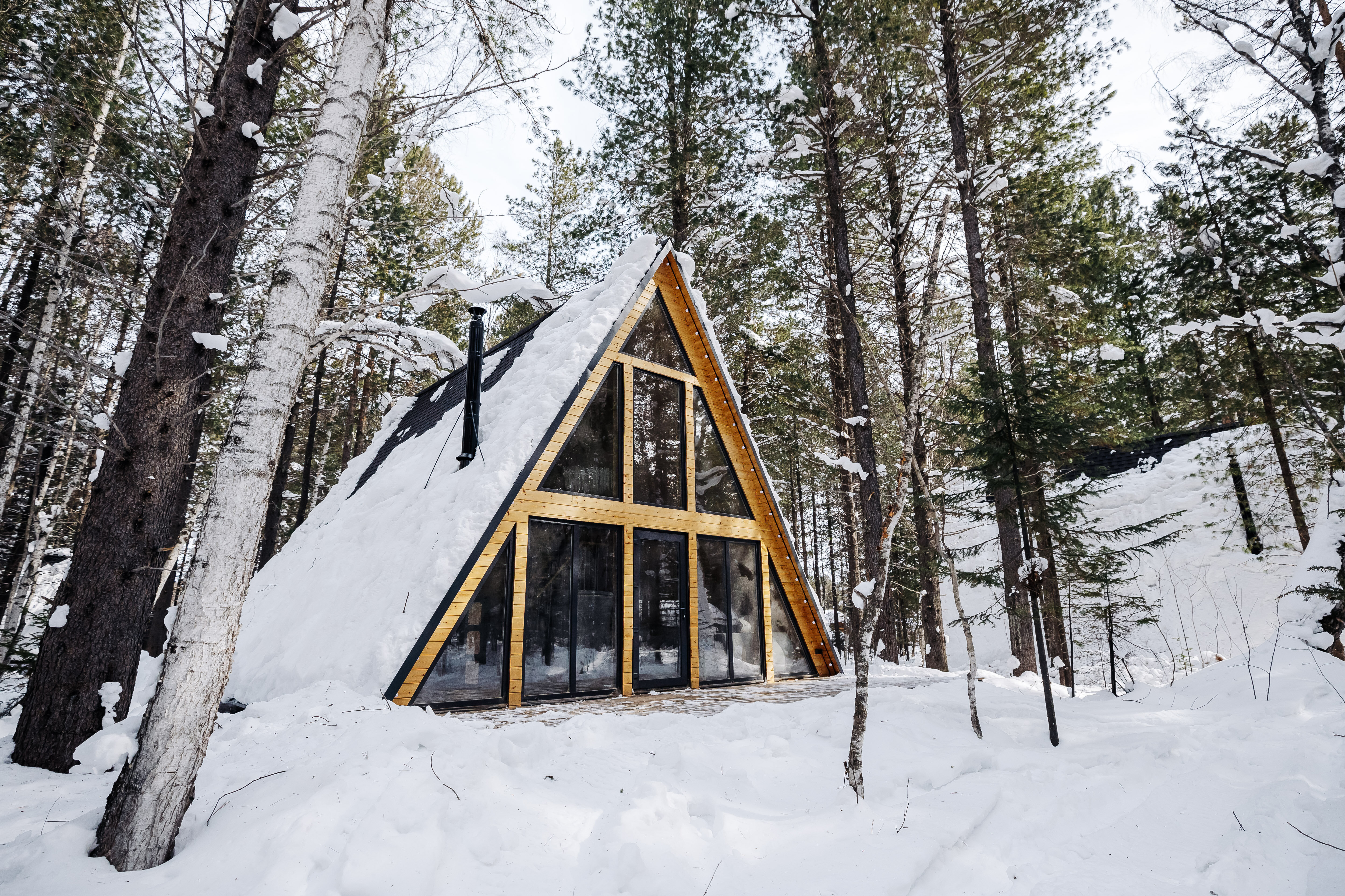 Фото Тэнгис