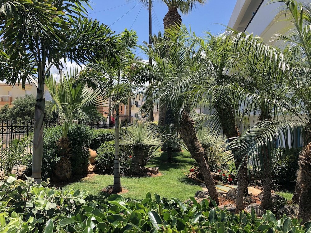 Фото Dedalos Hotel