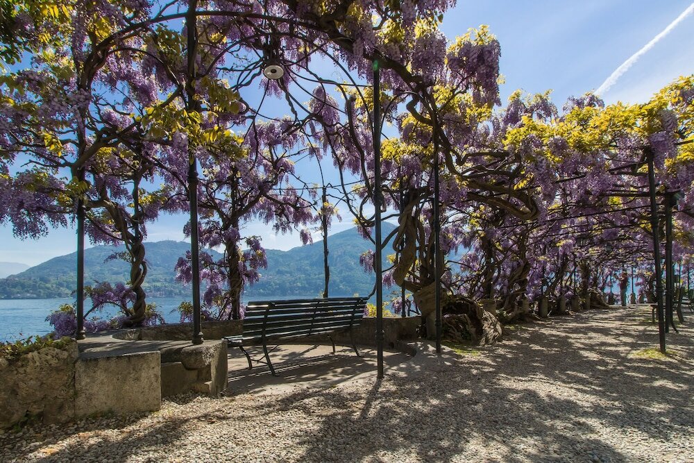 Фото Cadenabbia Fantastico