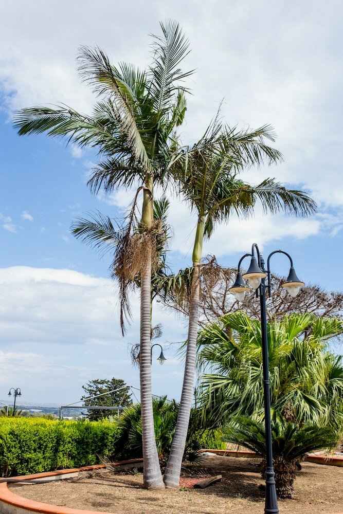 Фото IzzHome Panorama