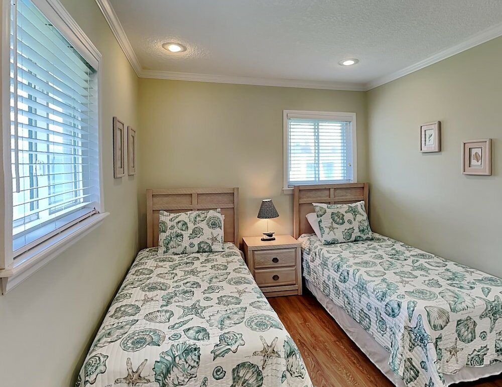 Фото Sea Urchin 39