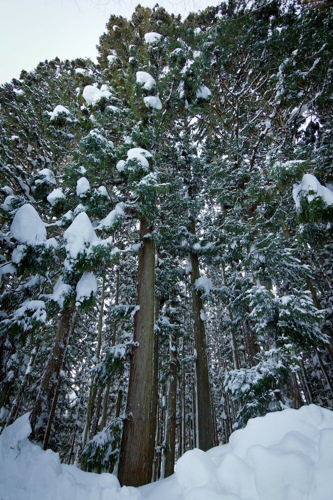 Фото Gakuto Villas