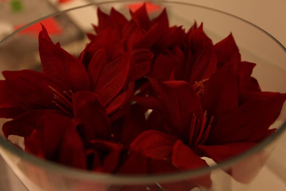 Фото Hotel Fantasy