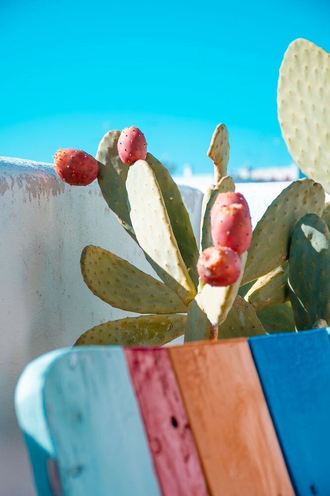 Фото Antico Mondo Rooms & Suites