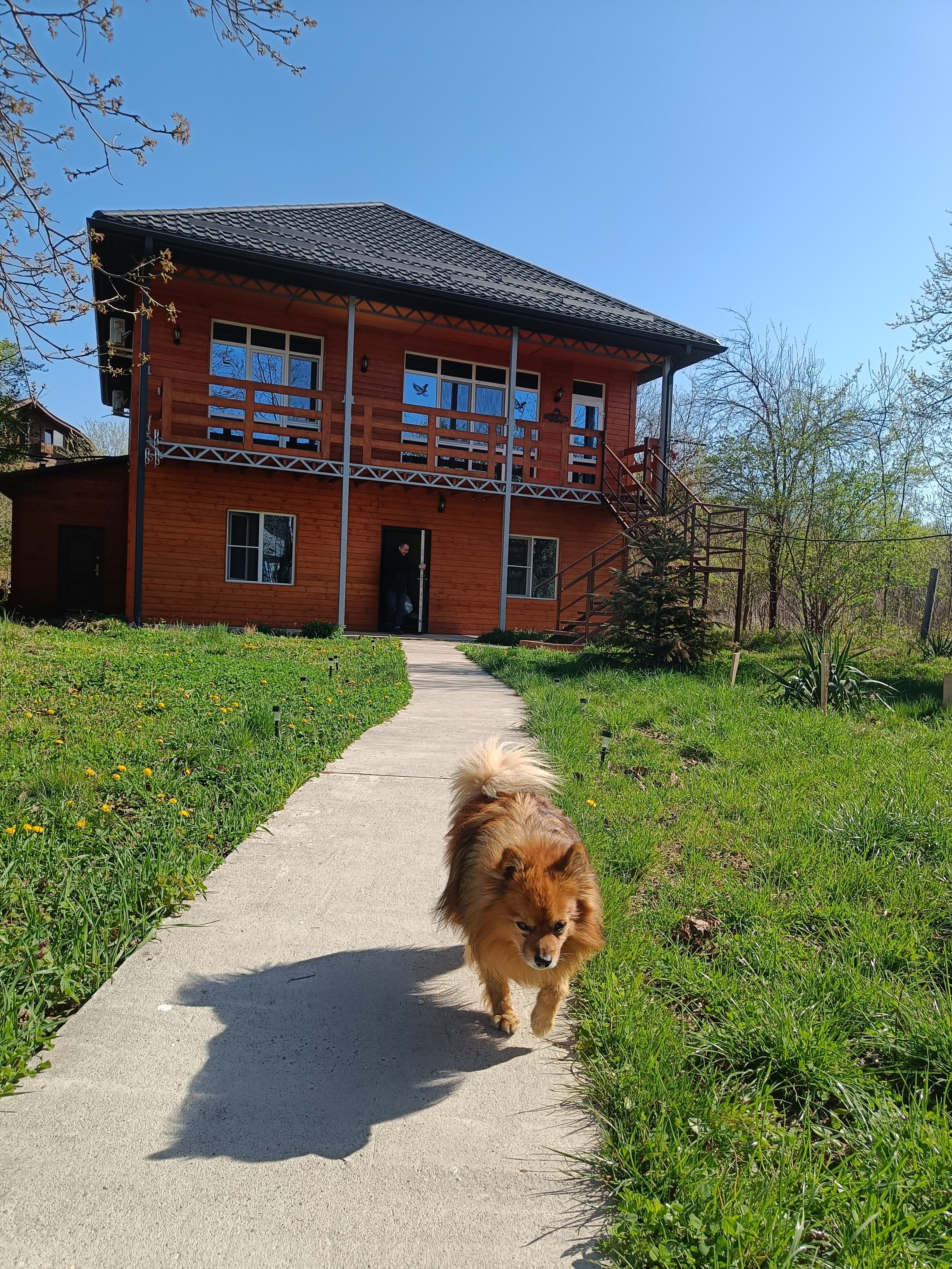 Фото Хижина