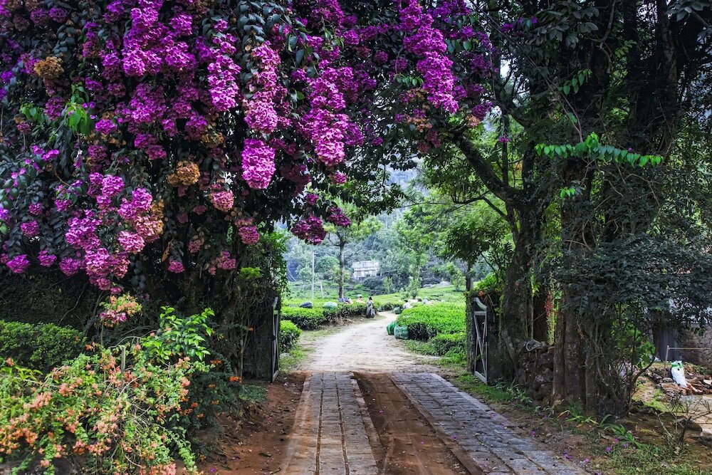 Фото Windermere Estate