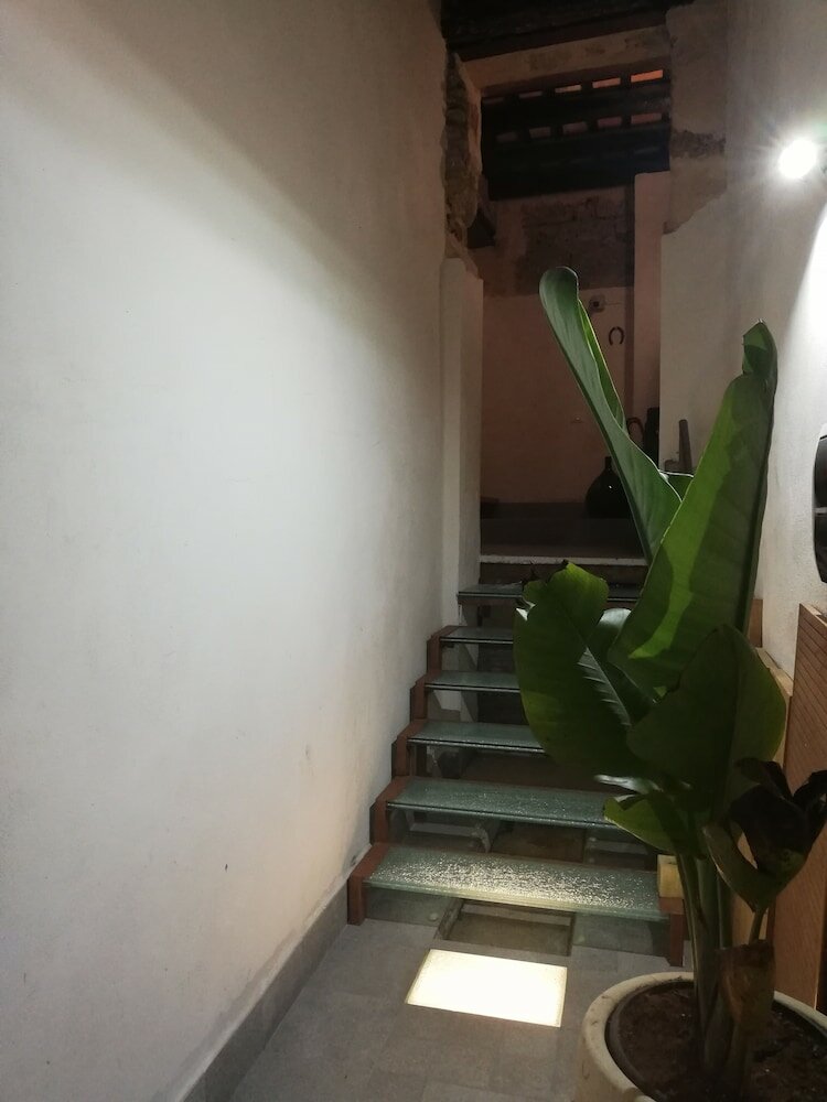 Фото Arimatea Accommodations