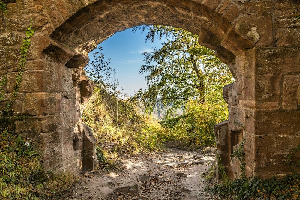 Фото Hotel zur Pfalz
