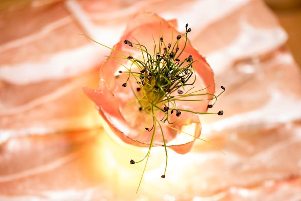 Фото Enzian Genziana