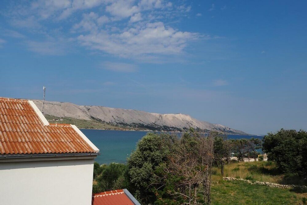 Фото Villa Lotus