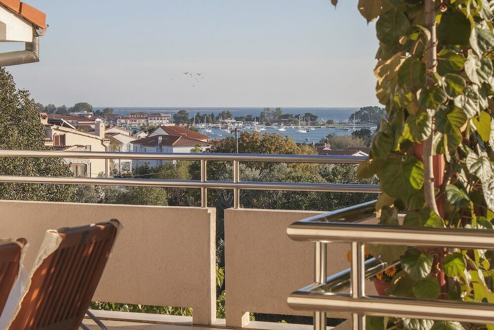 Фото Apartments Levan Ceja