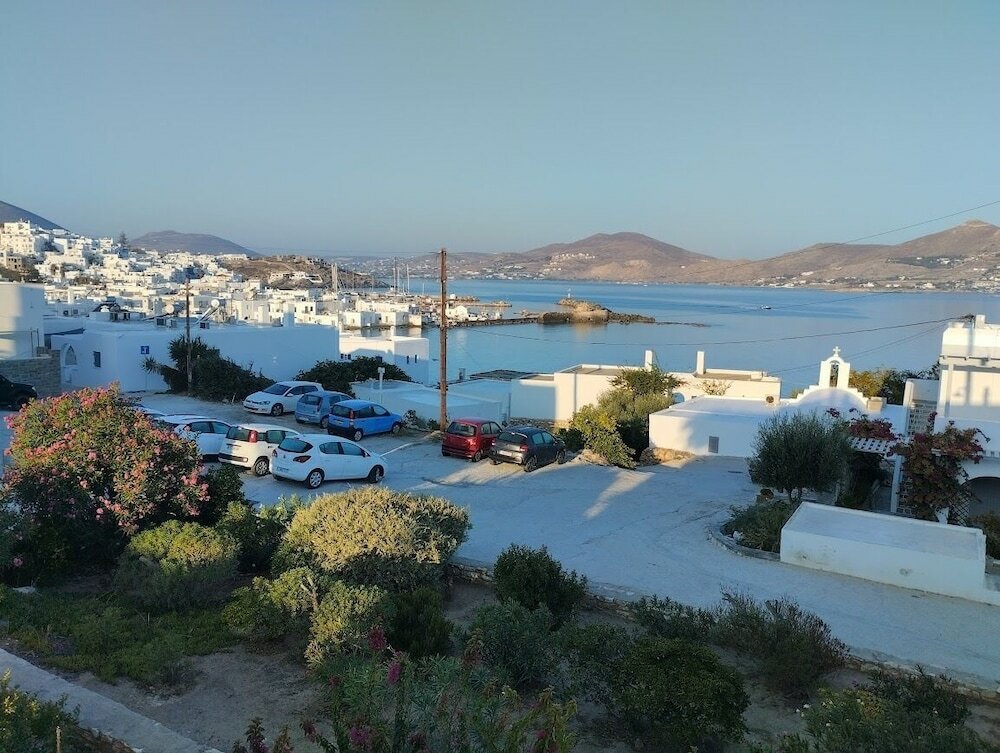 Фото Despina's Mare