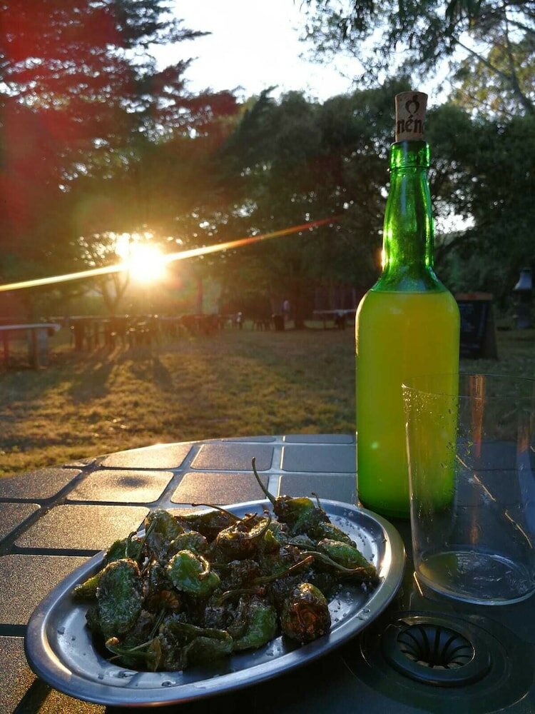 Фото Hotel la Xungueira