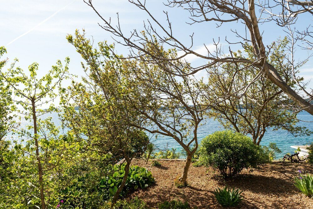 Фото Apartments Šestanović