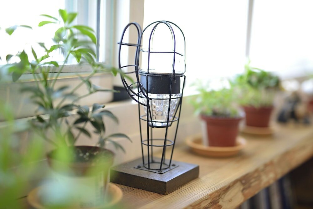 Фото Kenting coral holiday