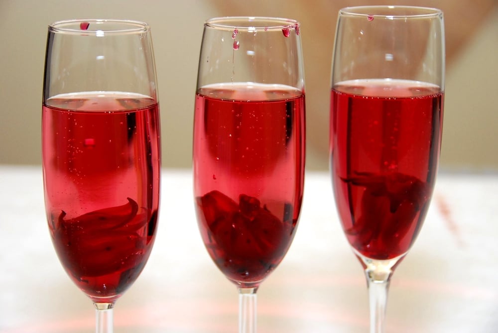 Фото Guest House Tara