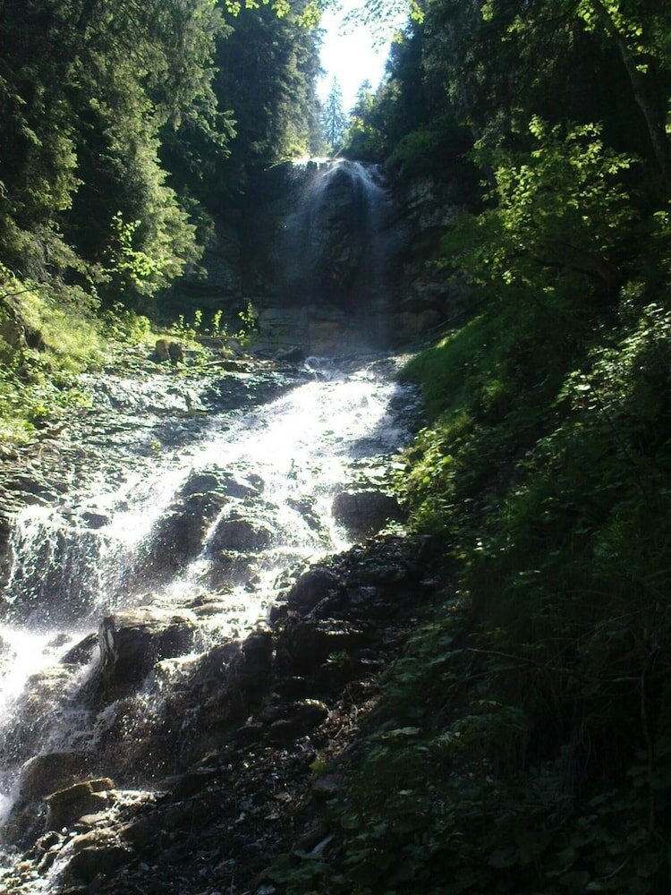 Фото Pension Gimmelwald