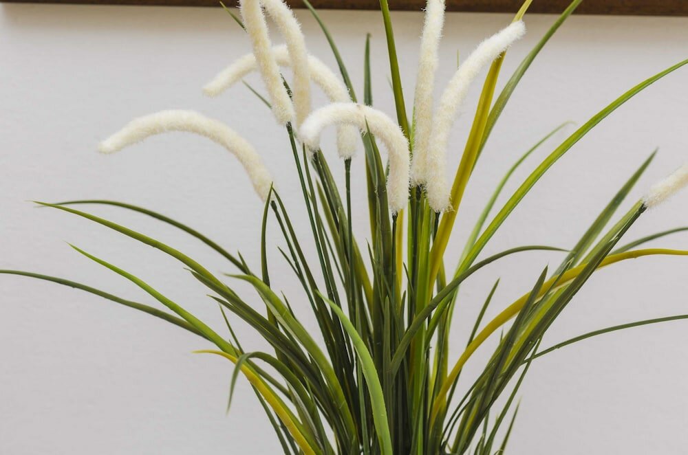 Фото Rooms Lovrijenac