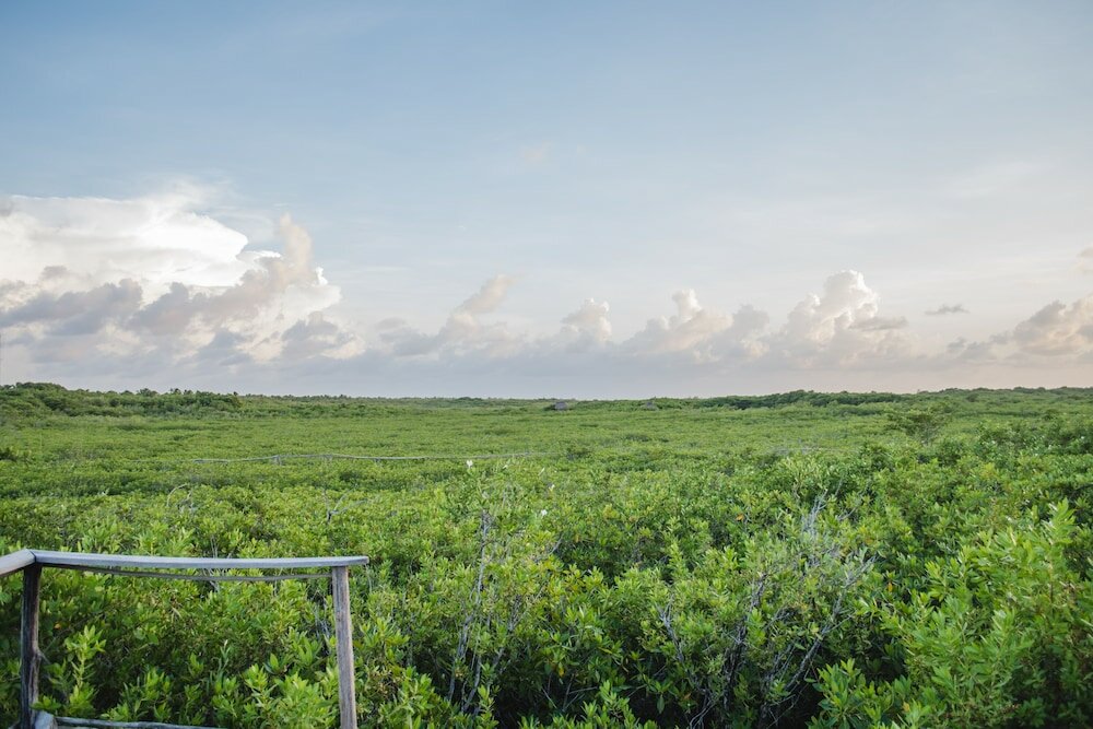 Фото Nativus Glamping & Cenote Tulum