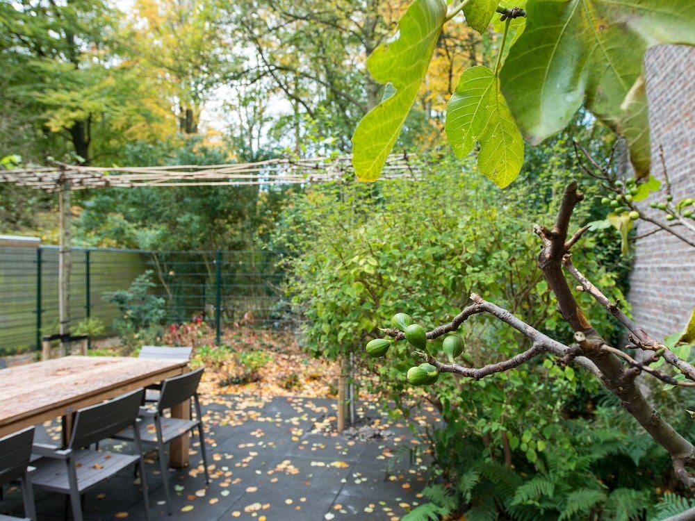 Фото BizStay Park Central Executive