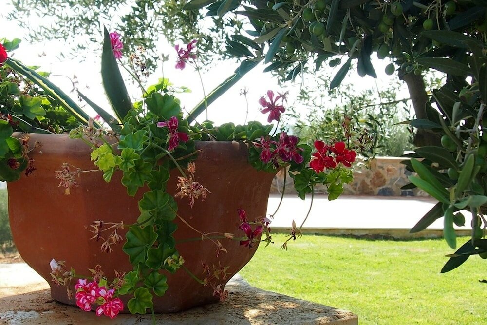 Фото Colle Berto