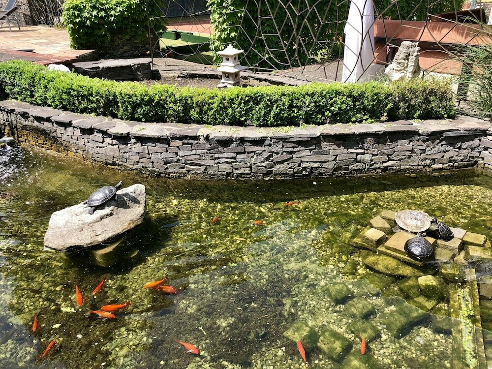 Фото Hotel Therma