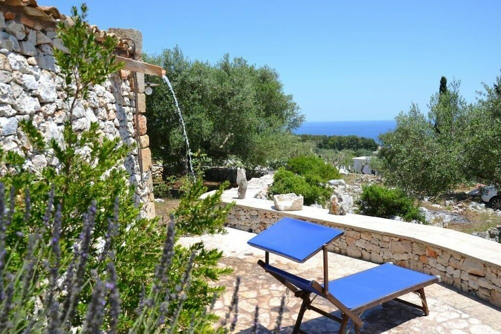 Фото Pajara Rugiada