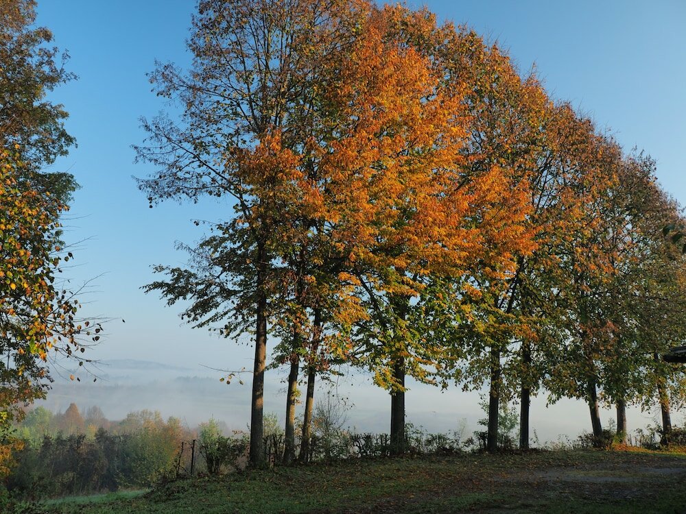 Фото Guest house Sara Latin