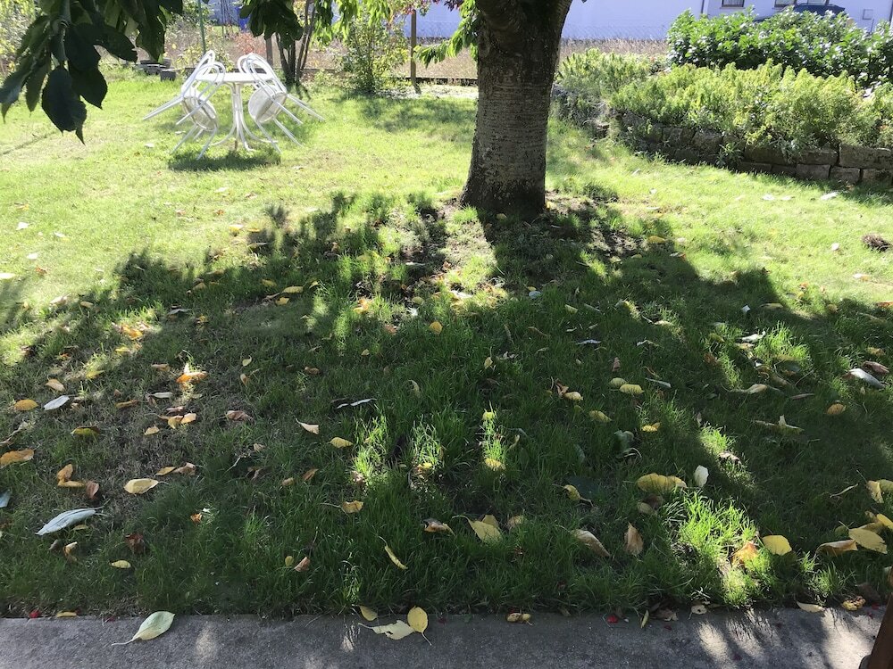 Фото Ferienwohnungen Scheuring