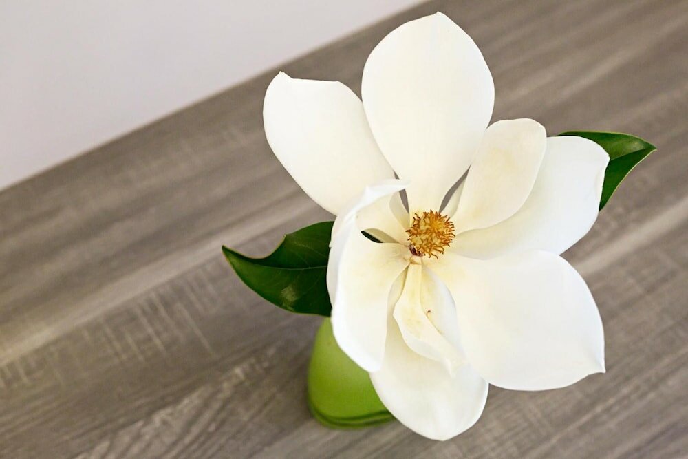 Фото Hotel Tiro a Volo