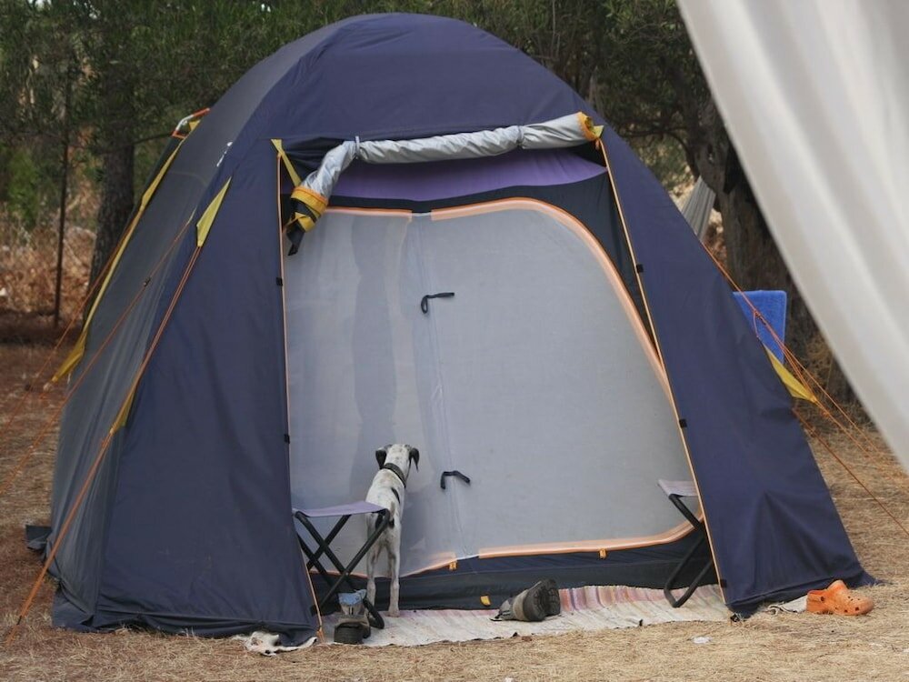 Фото Camping Ciauli