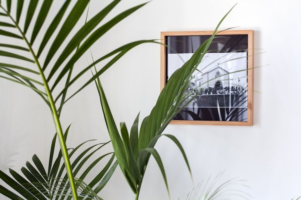 Фото Monte da Guia Alojamento Local